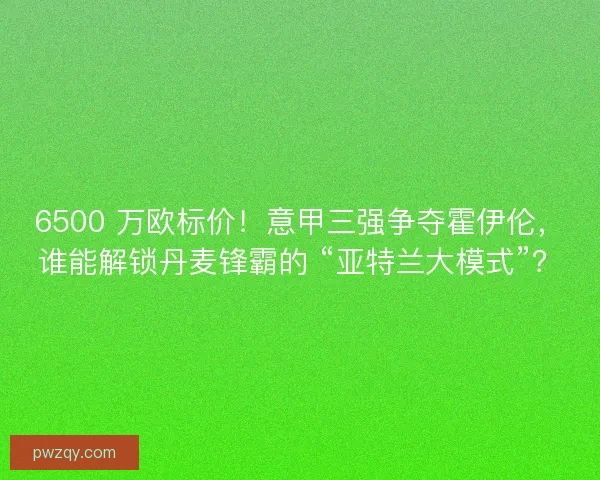 6500 万欧标价！意甲三强争夺霍伊伦，谁能解锁丹麦锋霸的 “亚特兰大模式”？